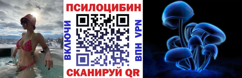 Галлюциногенные грибы Psilocybine cubensis Купить где Фёдоровский